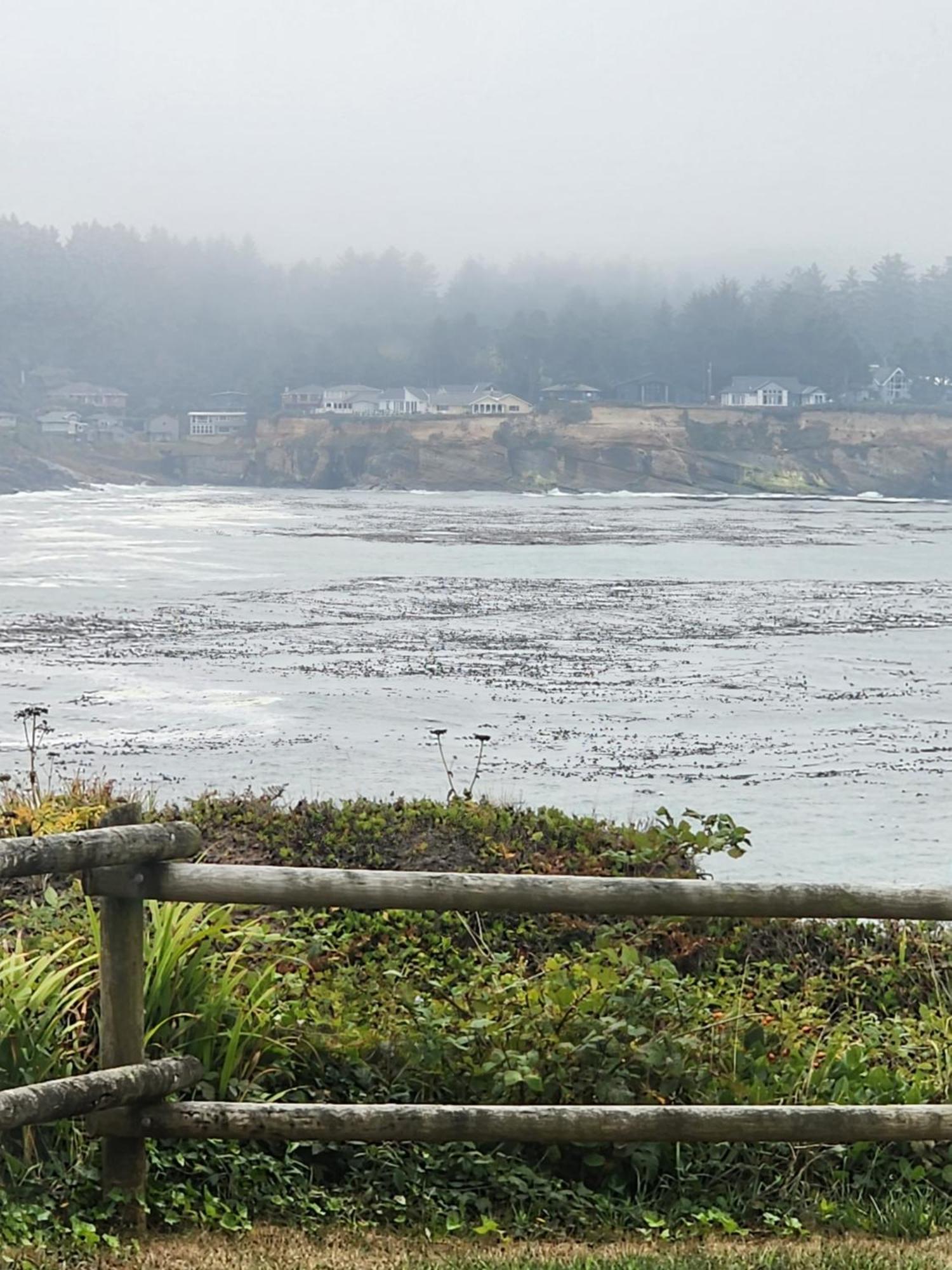 Inn At Arch Rock Depoe Bay Exterior foto